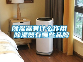 行业新闻除湿器有什么作用 除湿器有哪些品牌