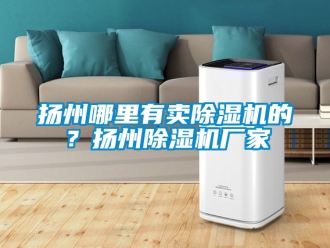 企业新闻扬州哪里有卖除湿机的？扬州除湿机厂家