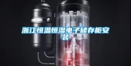 浙江恒温恒湿电子储存柜安装
