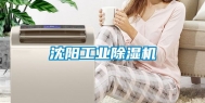 沈阳工业除湿机
