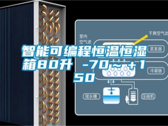 知识百科智能可编程恒温恒湿箱80升 -70～＋150℃