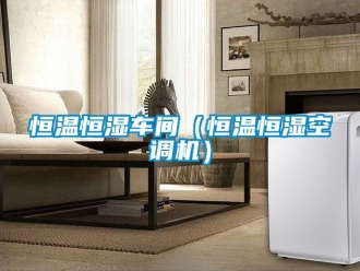 知识百科恒温恒湿车间（恒温恒湿空调机）