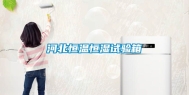河北恒温恒湿试验箱