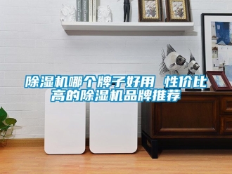 企业新闻除湿机哪个牌子好用 性价比高的除湿机品牌推荐