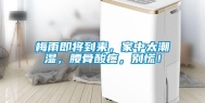 梅雨即将到来，家中太潮湿，腰骨酸疼，别慌！