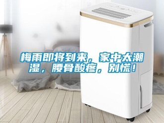 行业新闻梅雨即将到来，家中太潮湿，腰骨酸疼，别慌！