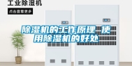 除湿机的工作原理 使用除湿机的好处