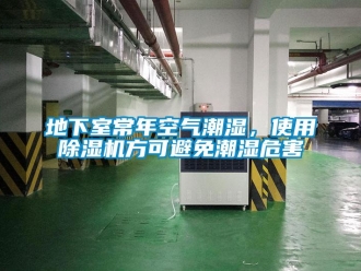 行业新闻地下室常年空气潮湿，使用除湿机方可避免潮湿危害