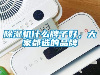 企业新闻除湿机什么牌子好，大家都选的品牌
