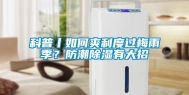 科普丨如何爽利度过梅雨季？防潮除湿有大招