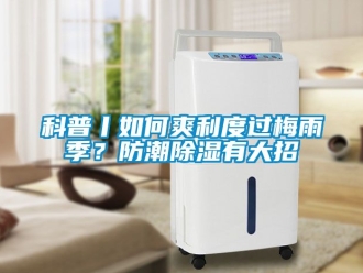 常见问题科普丨如何爽利度过梅雨季？防潮除湿有大招