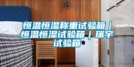 恒温恒湿称重试验箱｜恒温恒湿试验箱｜瑞宇试验箱