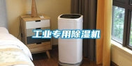 工业专用除湿机