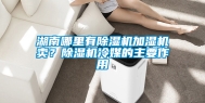 湖南哪里有除湿机加湿机卖？除湿机冷媒的主要作用