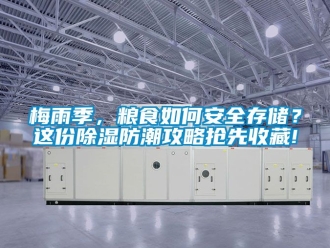 常见问题梅雨季，粮食如何安全存储？这份除湿防潮攻略抢先收藏!