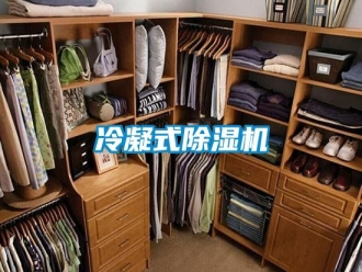 行业新闻冷凝式除湿机