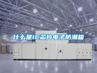 常见问题什么是IC芯片电子防潮箱