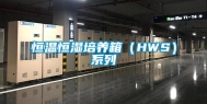 恒温恒湿培养箱（HWS）系列