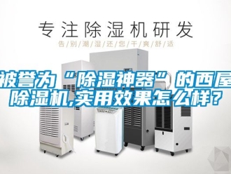 企业新闻被誉为“除湿神器”的西屋除湿机,实用效果怎么样？