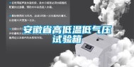 安徽省高低温低气压试验箱