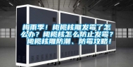 梅雨季！橄榄核雕发霉了怎么办？橄榄核怎么防止发霉？ 橄榄核雕防潮、防霉攻略！