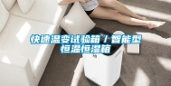 快速温变试验箱／智能型恒温恒湿箱