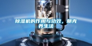 除湿机的作用与功效，朋克养生法