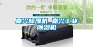 嘉兴除湿机 嘉兴工业除湿机