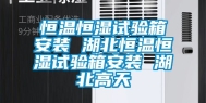 恒温恒湿试验箱安装 湖北恒温恒湿试验箱安装 湖北高天