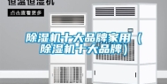 除湿机十大品牌家用（除湿机十大品牌）
