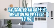 除湿机原理是什么 除湿机原理介绍【详解】