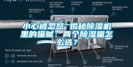 小心被忽悠 揭秘除湿机里的猫腻：两个除湿量怎么选？