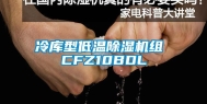 冷库型低温除湿机组 CFZ10BDL