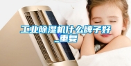 工业除湿机什么牌子好_重复