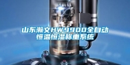 山东瀚文HW9900全自动恒温恒湿称重系统