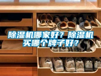 行业新闻除湿机哪家好？除湿机买哪个牌子好？