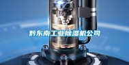 黔东南工业除湿机公司