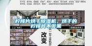 柠檬片烘干除湿机，烘干的柠檬片不发黑