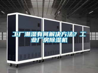 常见问题工厂潮湿有何解决方法？工业厂房除湿机