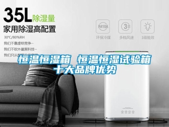 知识百科恒温恒湿箱 恒温恒湿试验箱十大品牌优势