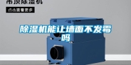 除湿机能让墙面不发霉吗
