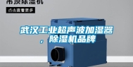 武汉工业超声波加湿器，除湿机品牌