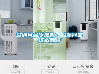 行业新闻空调风扇除湿机？晾胚何需这么麻烦