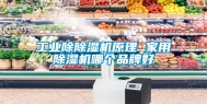 工业除除湿机原理 家用除湿机哪个品牌好