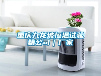 知识百科重庆九龙坡恒温试验箱公司｜厂家