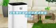 安斯曼除湿机帮您解决潮湿困扰