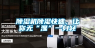 除湿机除湿快速，让你无“湿”一身轻