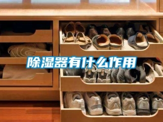 行业新闻除湿器有什么作用