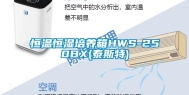 恒温恒湿培养箱HWS-250BX(泰斯特)