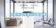 小型恒温恒湿试验箱厂家